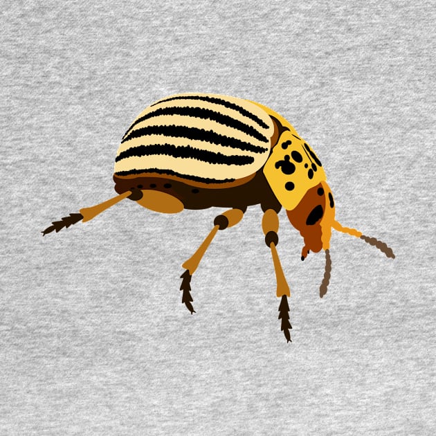 Colorado Potato Beetle by stargatedalek